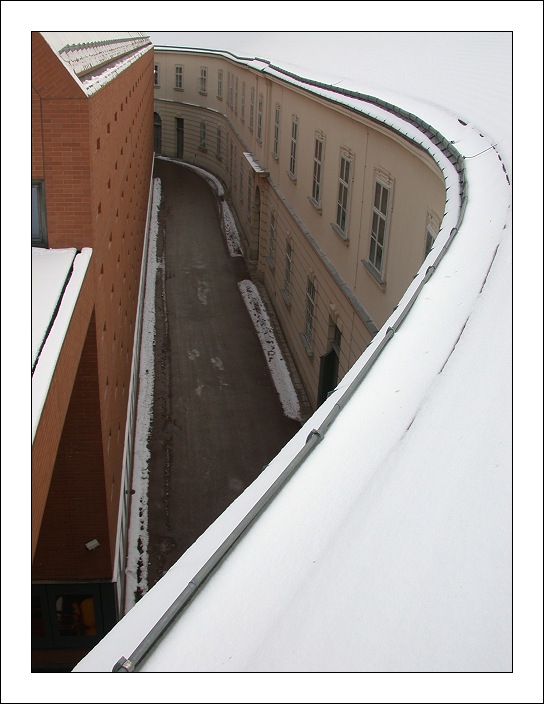 Кривулька