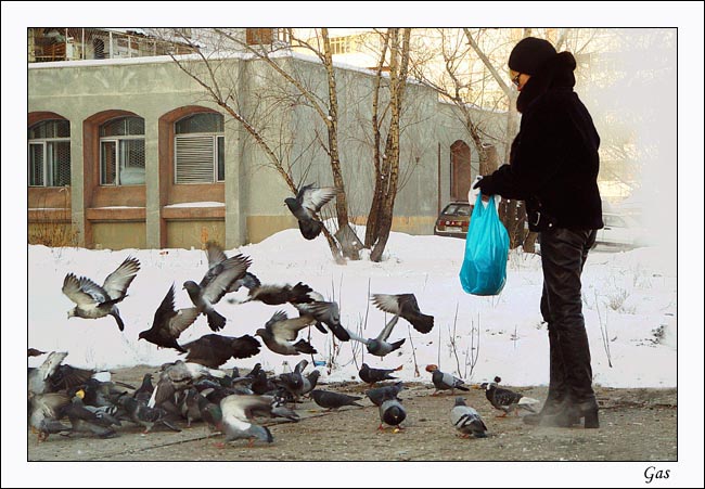 Птичья жизнь (2)