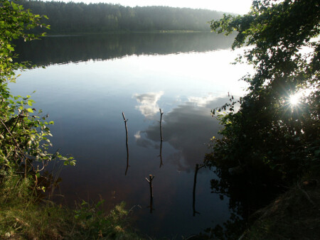 Не время для рыбалки...