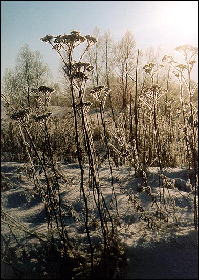 подлинные снимки с Марса