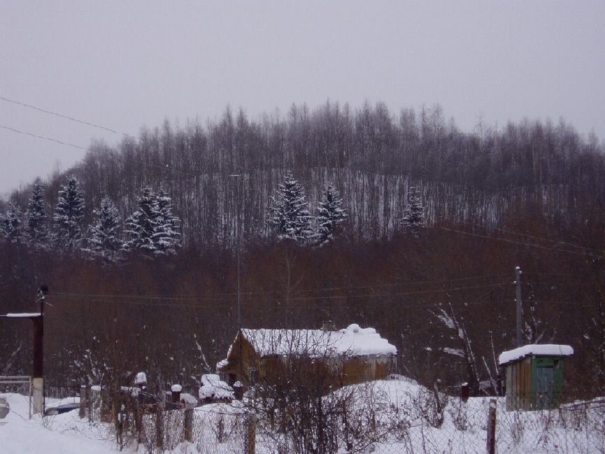 Полосы природы