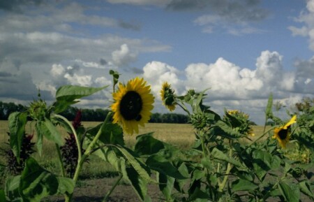 &amp;quot;Солнышко&amp;quot;