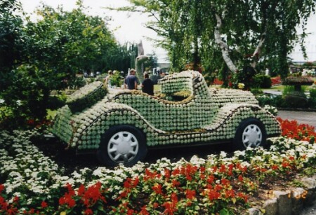 Автомобиль, выросший на клумбе.