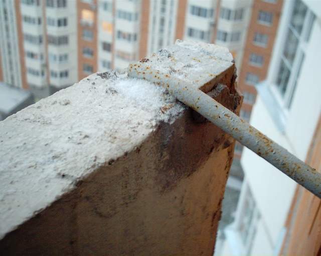 Первый снег