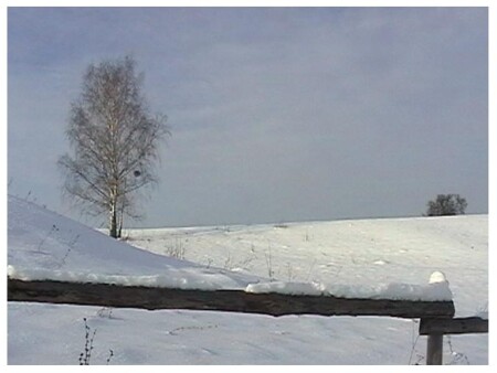 Janvarskaja tisina