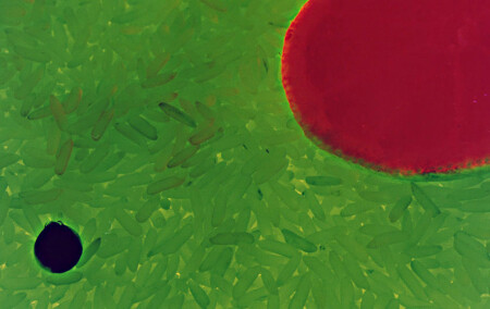 Три цвета/ Зеленый