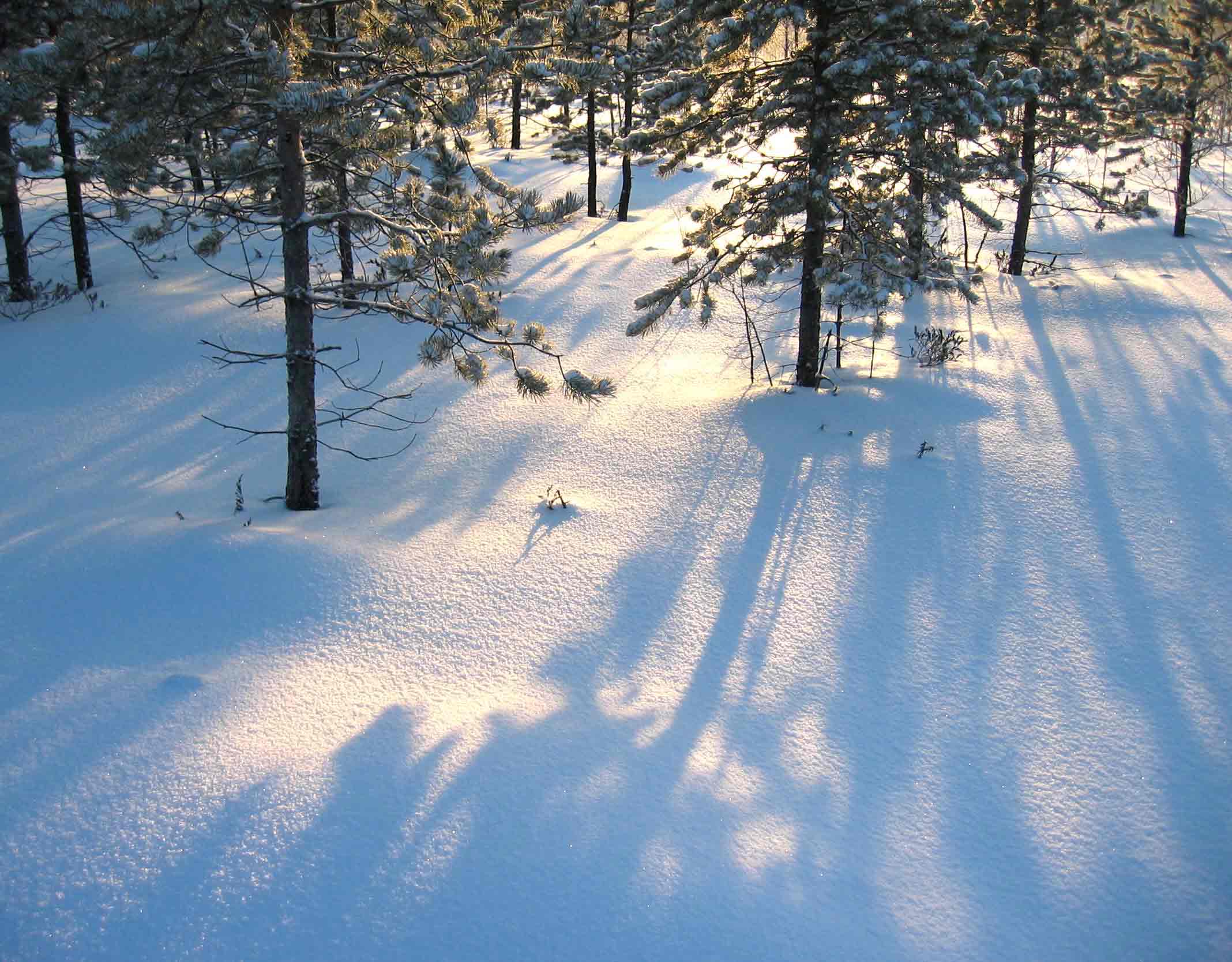 ФЕВРАЛЬСКИЕ ОТРАЖЕНИЯ