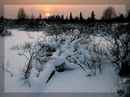 Зимняя сказка