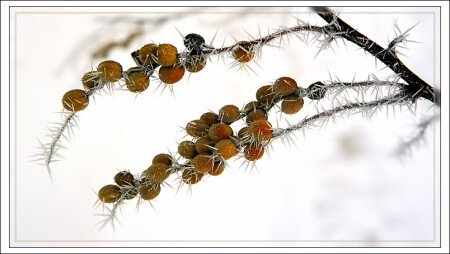 Кристаллизовано временем