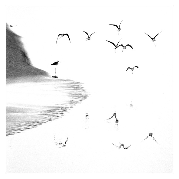 Birds leaving the world byond the mirror