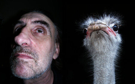 Родственники?