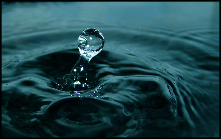 Живая вода 15. рождение головастика