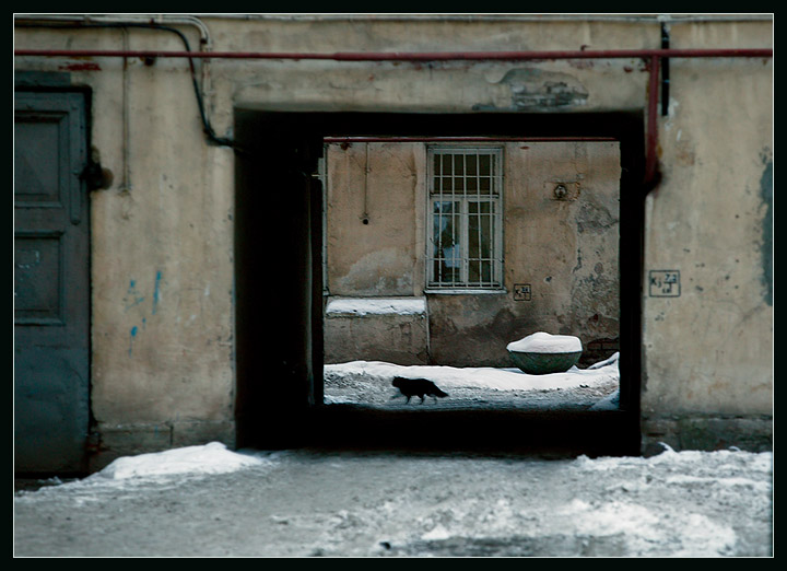 Черный Кот. Петербург