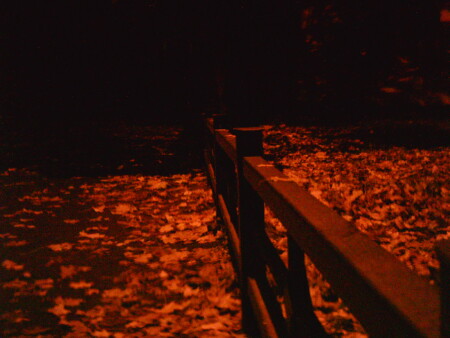 Осенний парк