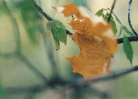 Чтобы висело