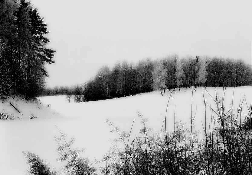 ПРИРОДА