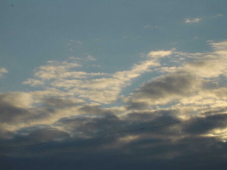 линия жизни