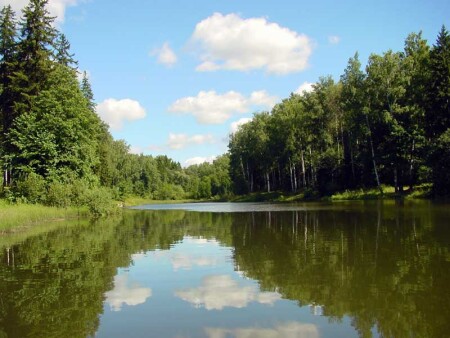 Лесное озeро