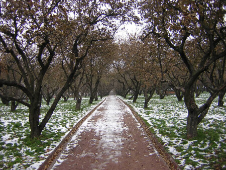 Млечный путь