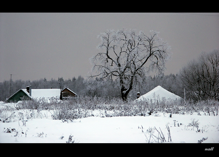 зимний мотив