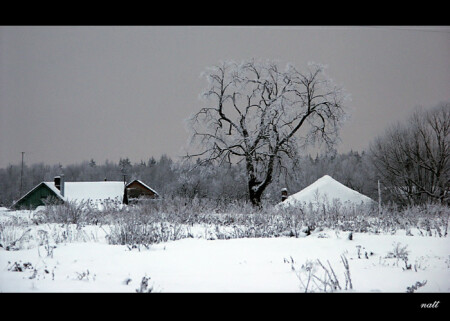 зимний мотив
