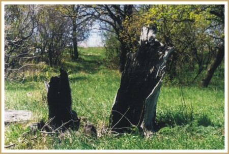 После пожара