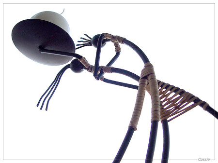 Белое танго...