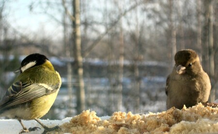 Нуу-с, приступим-с.