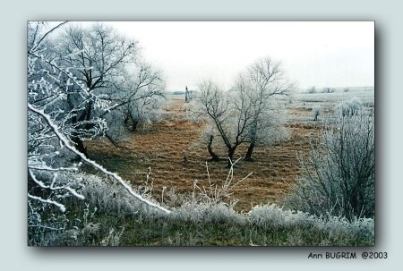 На кануне 2004