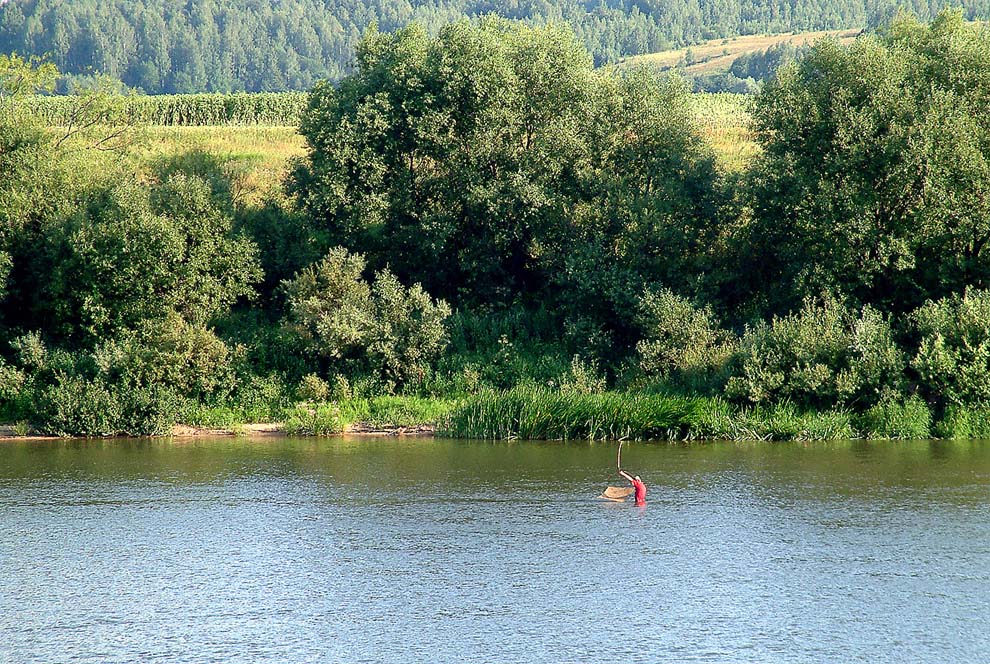 Ловчий диких рыб.