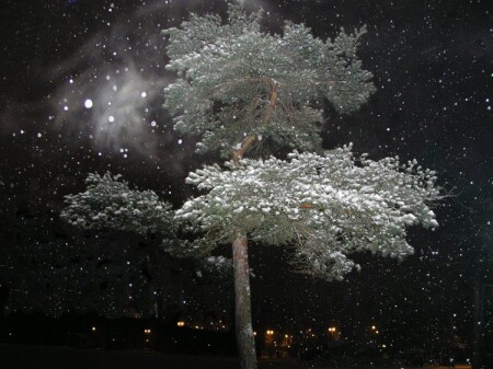 Закрутила &quot;вьюга&quot;...