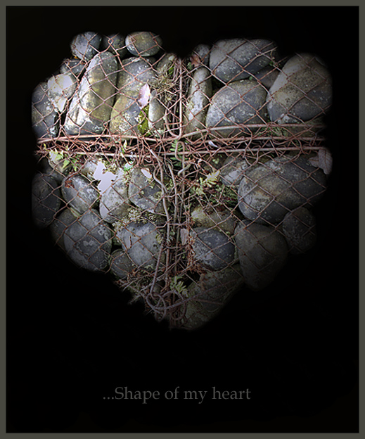 Shape of my heart