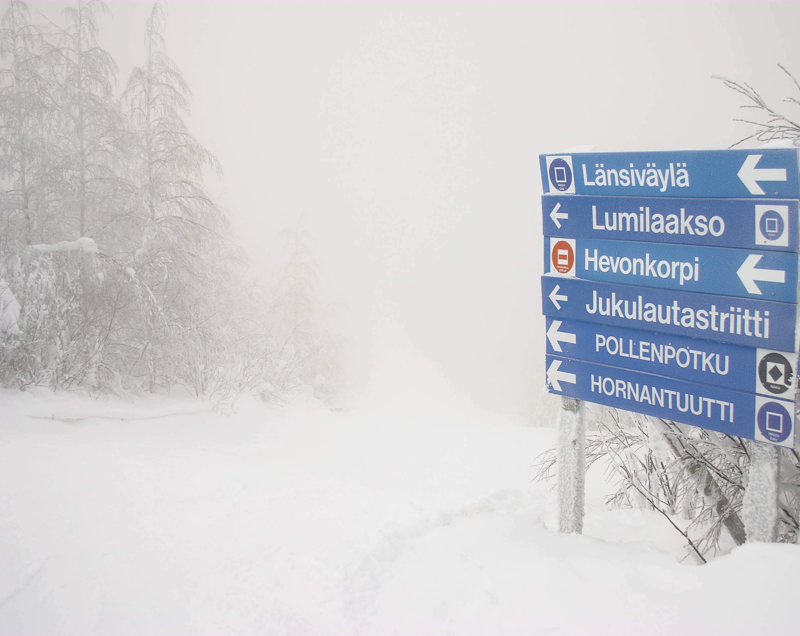 в неизвестность