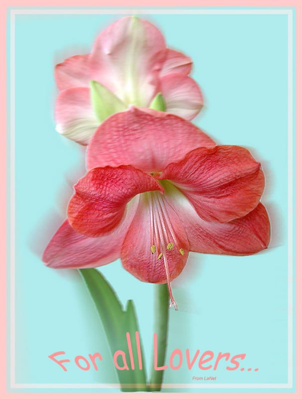 for all Lovers