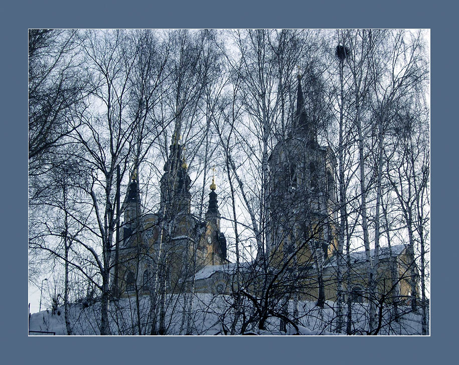 *** (с пустым гнездом)