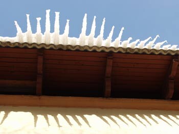 злая зимняя рыба