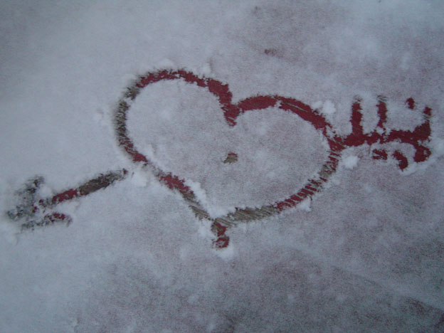 love forever