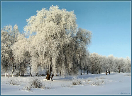 Солнце. Утро. Минус 20.