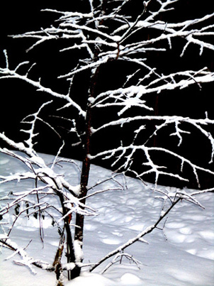 Winter,contrasts