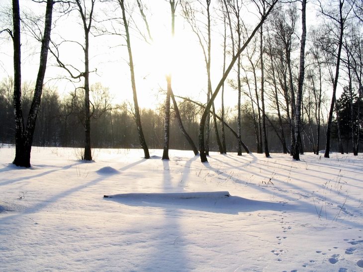 ЗИМНИМ ВЕЧЕРОМ