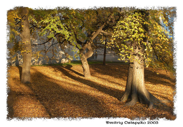 Autumn in New York