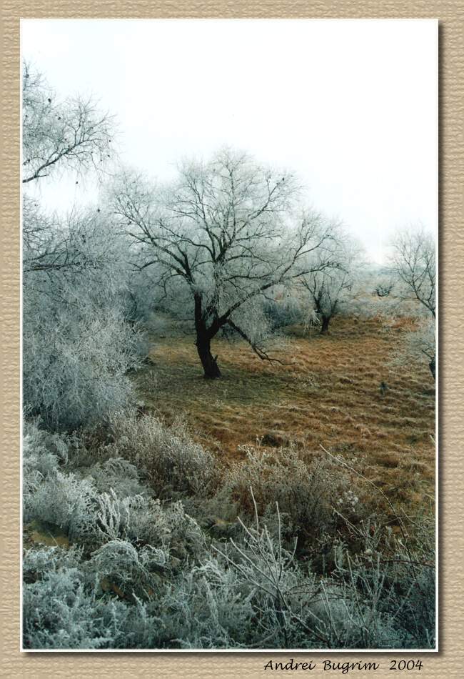 На кануне 2004