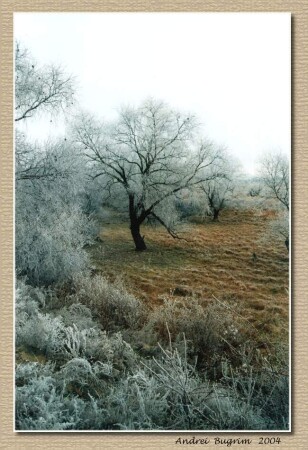 На кануне 2004