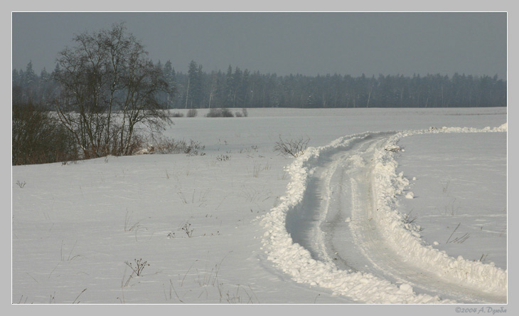 Зимняя полевая дорога.