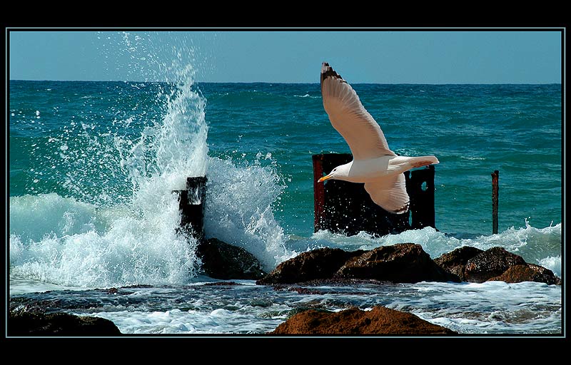 FLIGHT