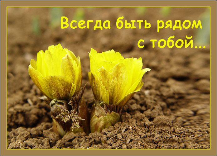 Всегда быть рядом с тобой.