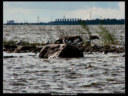 Местная парковка.