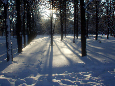 Shadows