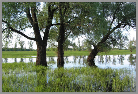 Весна. Большая вода.