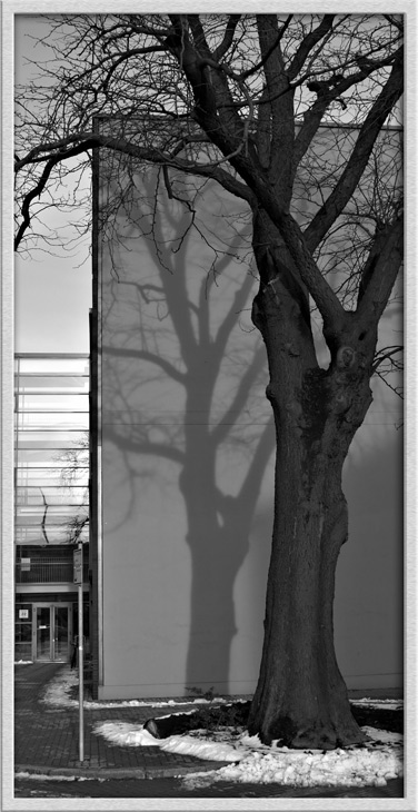 Shadows